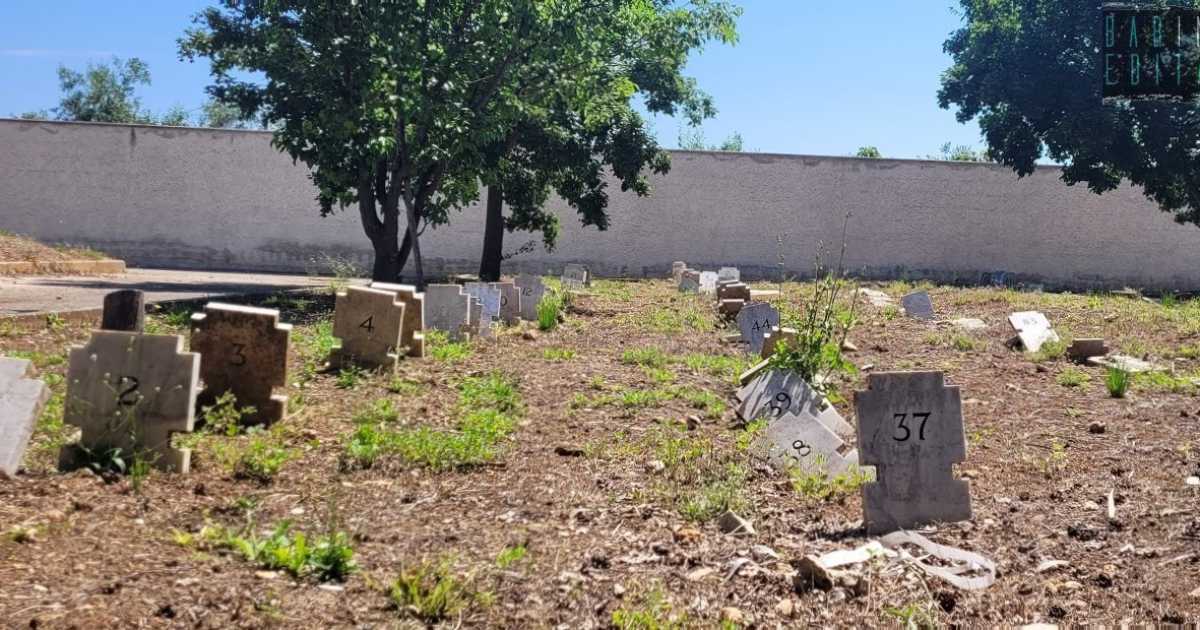 Il cimitero degli arti: dove mani e piedi amputati vengono sepolti in attesa della loro "ricongiunzione" 